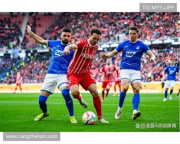 从未降级的德甲球队名单及稳定表现分析